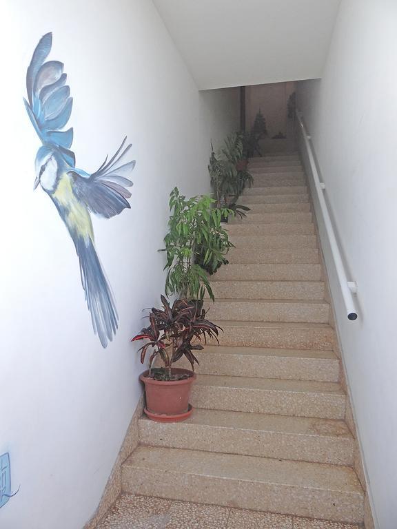 Apartamentos Dominguez Calera Exterior foto